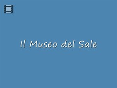 IL MUSEO DEL SALE